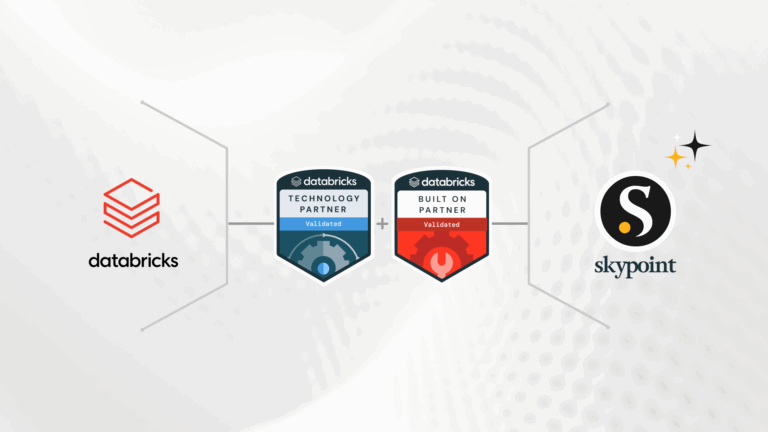 Data-bricks technology partner